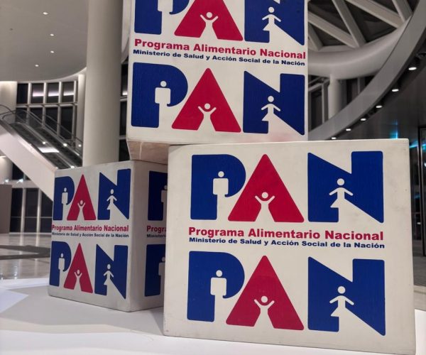 foto obra de Emiliano